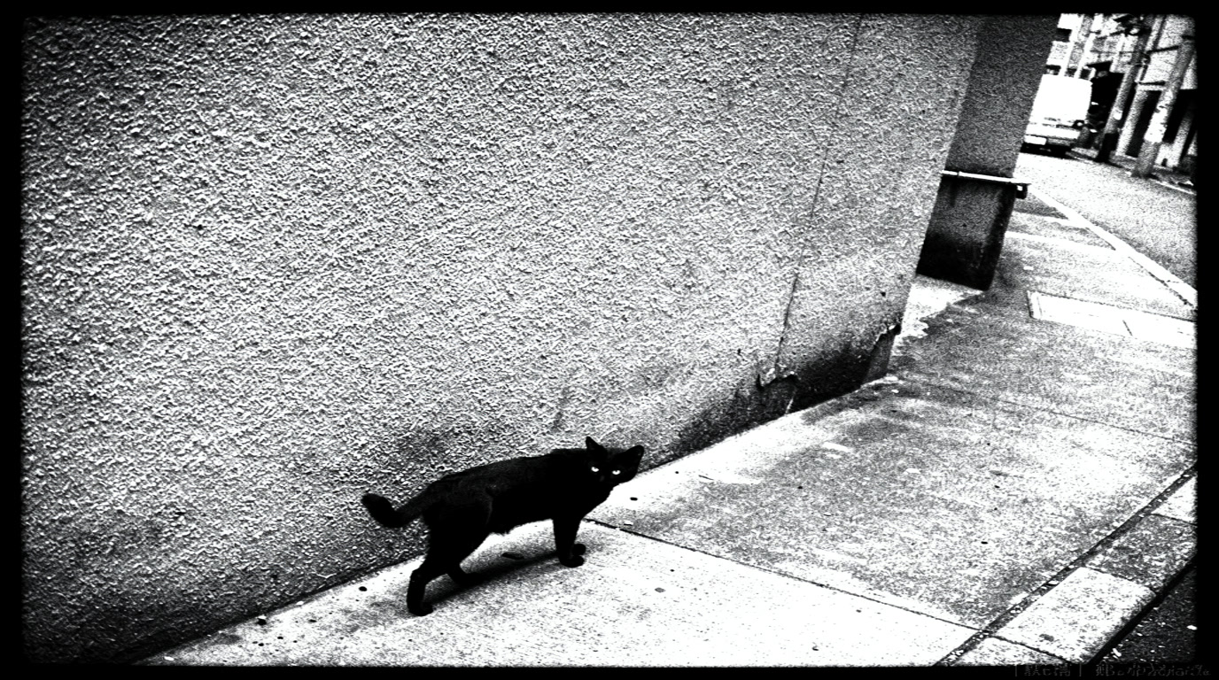 KI-generierte historische Szene 75: Moriyama — Der Streuner.